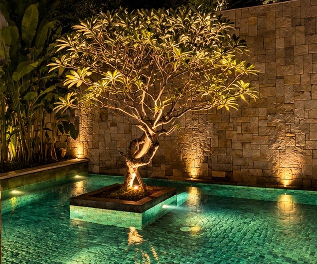 Frangipani tree uplit on an island in a lit pool